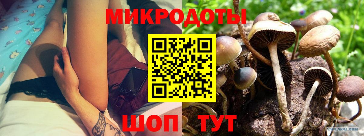 Мурино  Псилоцибиновые грибы Psilocybine cubensis  Псилоцибиновые грибы мицелий  Вход с VPN 